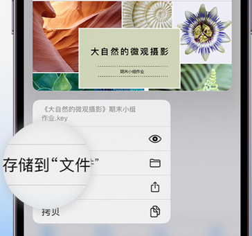 确山apple维修中心分享iPhone文件应用中存储和找到下载文件