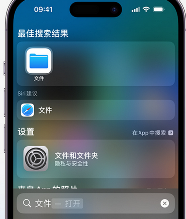 确山apple维修中心分享iPhone文件应用中存储和找到下载文件 