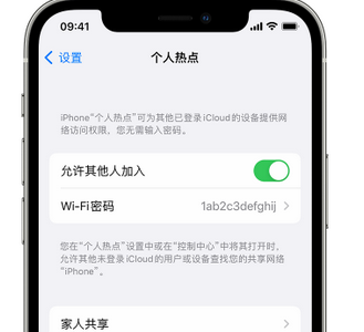 确山apple服务站点分享iPhone上个人热点丢失了怎么办