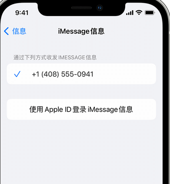 确山apple维修iPhone上无法正常发送iMessage信息 