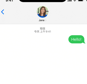 确山apple维修iPhone上无法正常发送iMessage信息