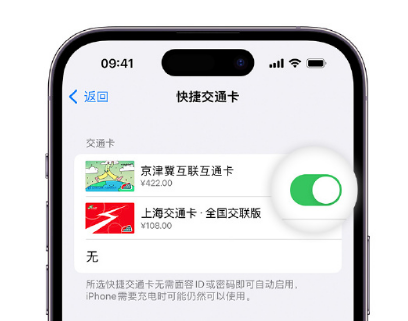 确山apple维修点分享iPhone上更换Apple Pay快捷交通卡手绘卡面 