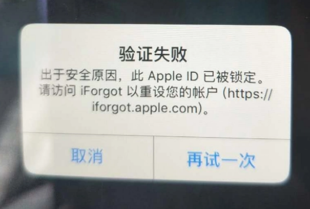 确山iPhone维修分享iPhone上正常登录或使用AppleID怎么办 