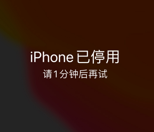 确山苹果手机维修分享:iPhone 显示“不可用”或“已停用”怎么办？还能保留数据吗？ 