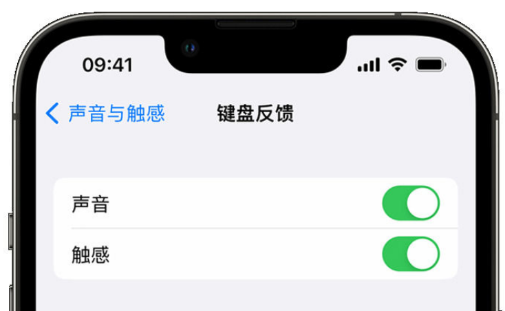 确山苹果手机维修分享iPhone 14触感键盘使用方法 