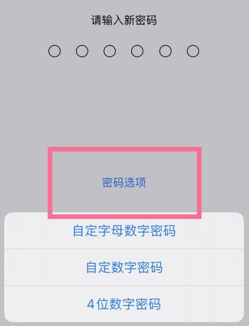 确山苹果14维修分享iPhone 14plus设置密码的方法 