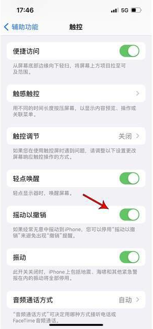 确山苹果手机维修分享iPhone手机如何设置摇一摇删除文字 